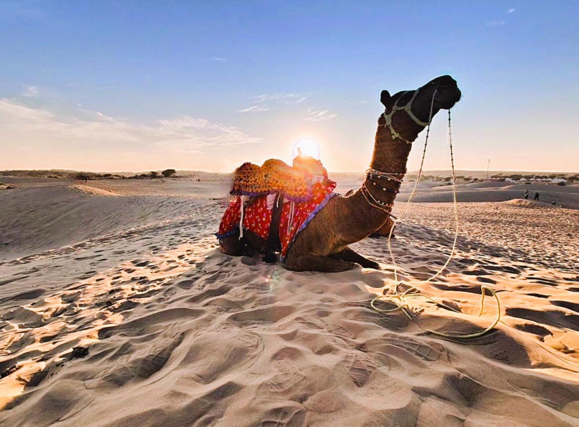 Jaisalmer Sand Dunes Luxury Camp And Resort Ngoại thất bức ảnh