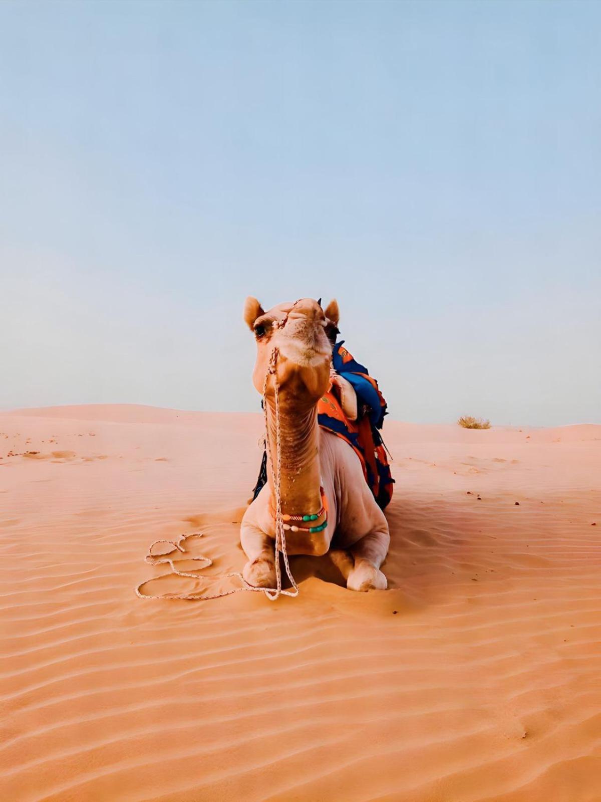 Jaisalmer Sand Dunes Luxury Camp And Resort Ngoại thất bức ảnh